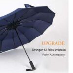 BMW Umbrella 12 shik auto open & close Umbrella (P-1885)